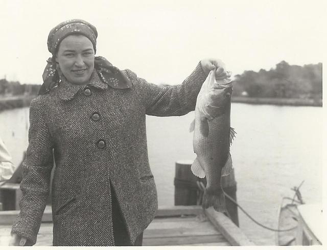 Lois One Fish
