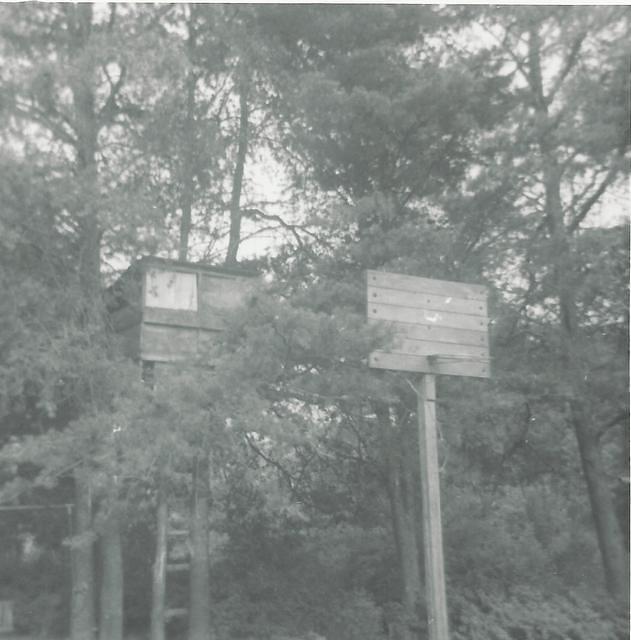 Miles Gillie Treehouse and Basketball Goal 1970