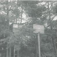 Miles Gillie Treehouse and Basketball Goal 1970